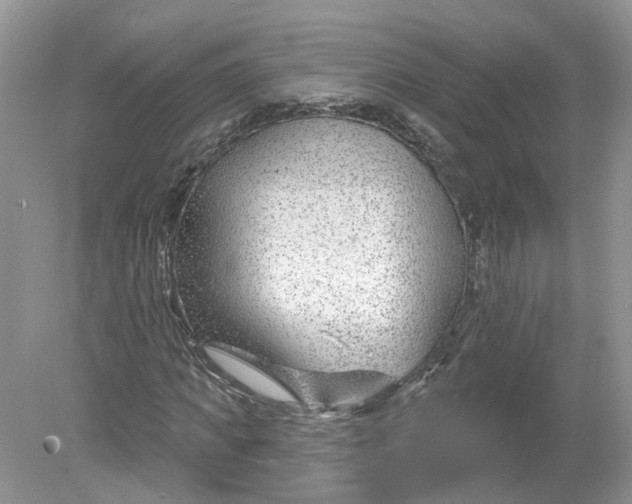 X0000078890917200612042046