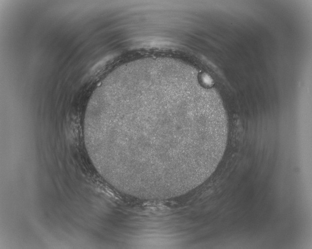 X0000078890918200612042046