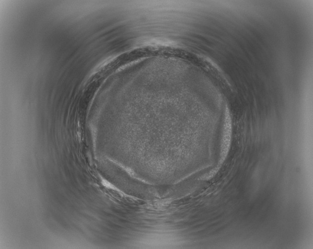 X0000078890919200612042046