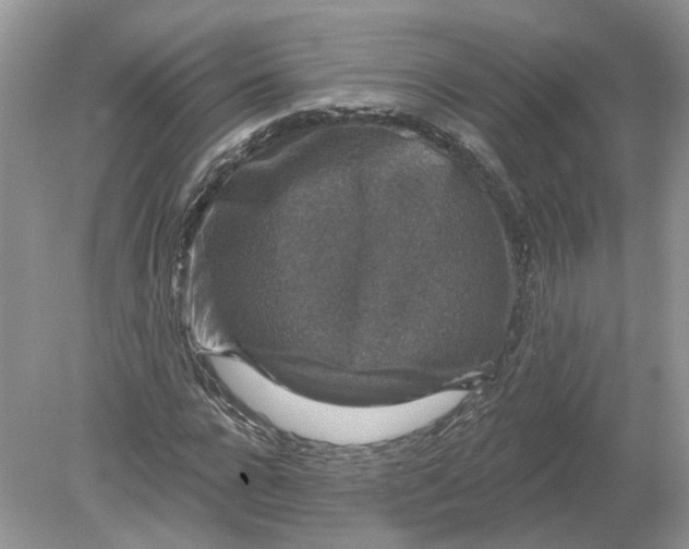 X0000078890920200612042046