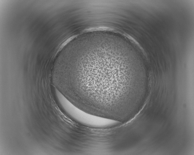 X0000078890921200612042046