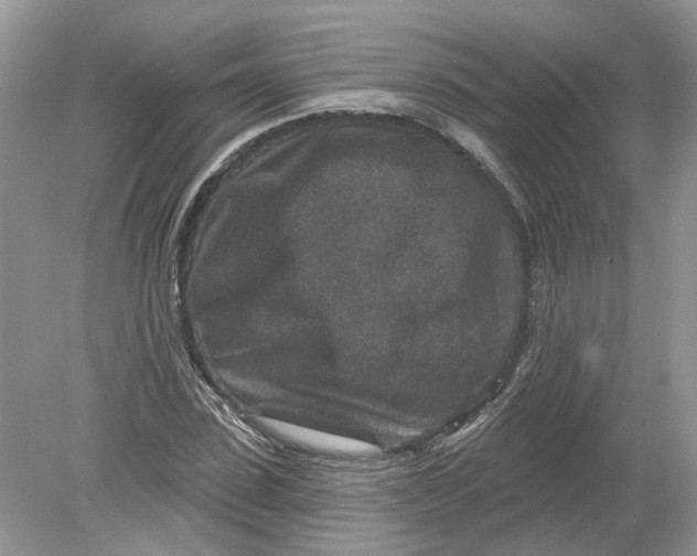 X0000078890923200612042046