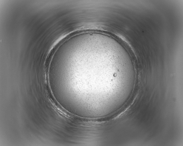 X0000078890925200612042046