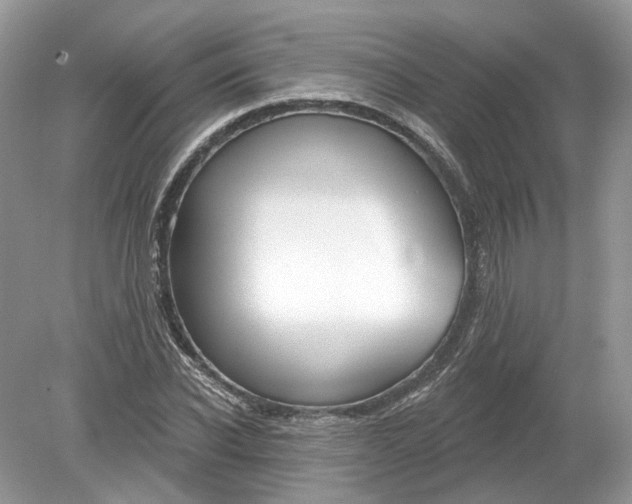 X0000078890926200612042046