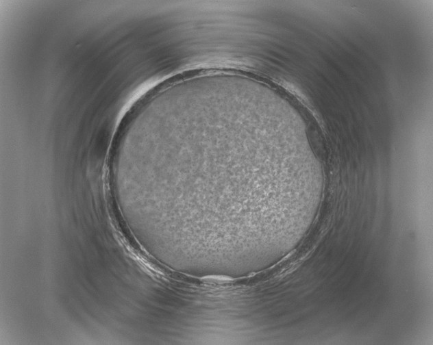 X0000078890928200612042046