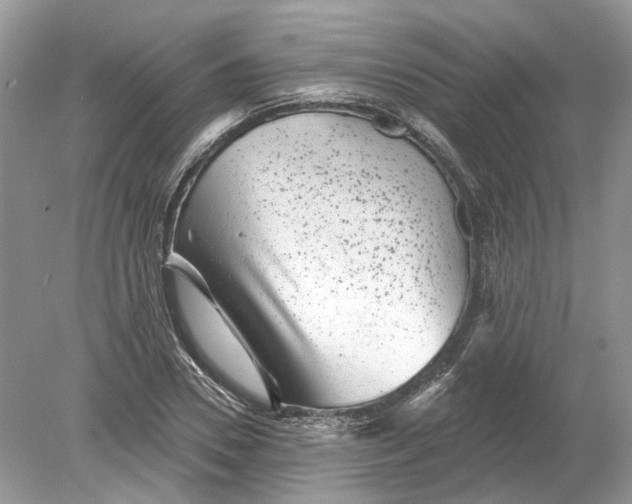 X0000078890930200612042046