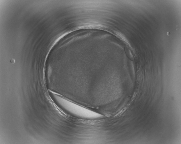 X0000078890932200612042046