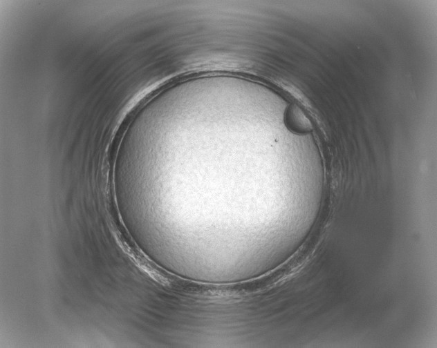 X0000078890933200612042046