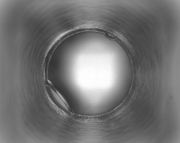 X0000078890934200612042046