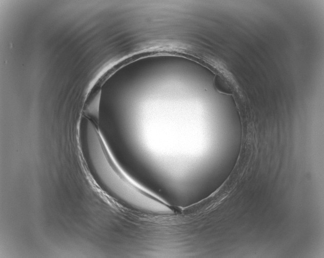 X0000078890936200612042046