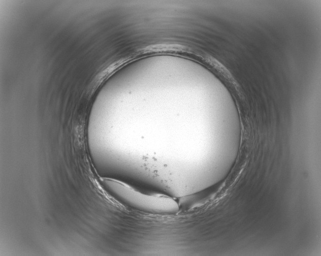 X0000078890937200612042046