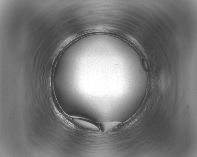 X0000078890938200612042046