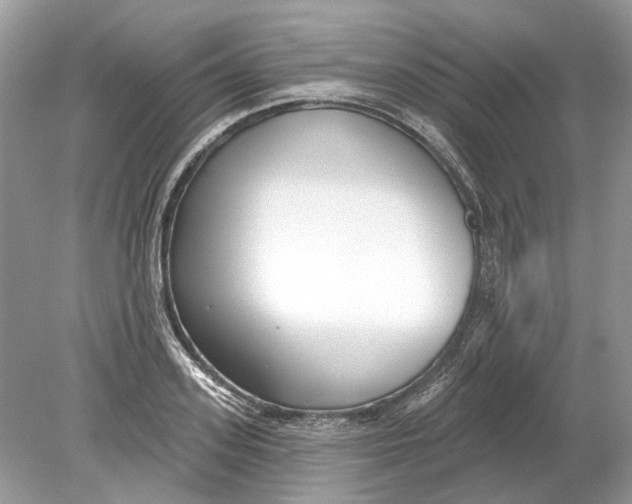 X0000078890939200612042046