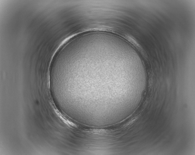 X0000078890940200612042046