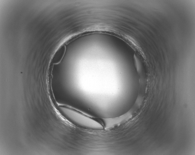 X0000078890942200612042046