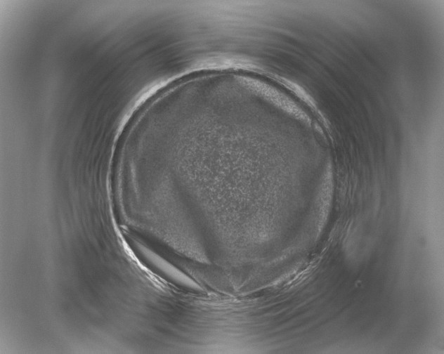 X0000078890943200612042046