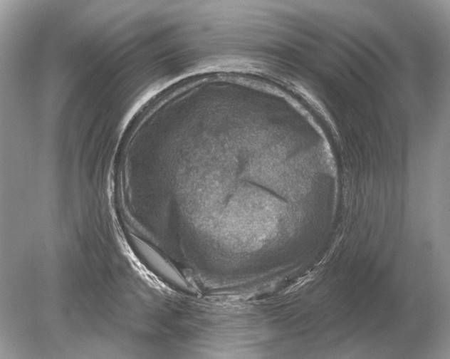 X0000078890944200612042046