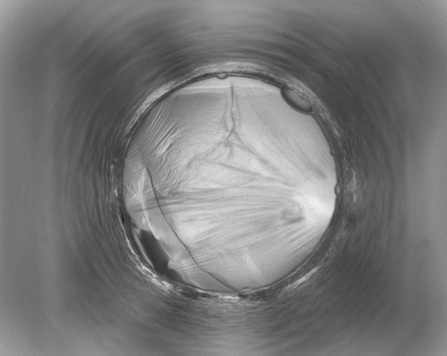 X0000078890945200612042046