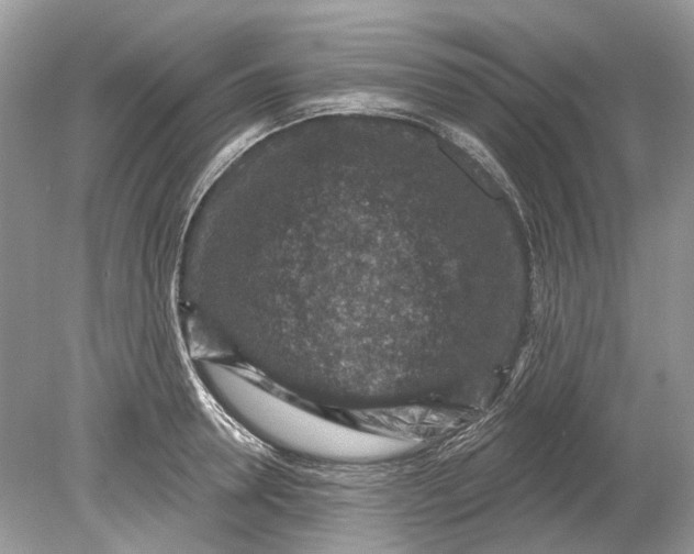 X0000078890946200612042046