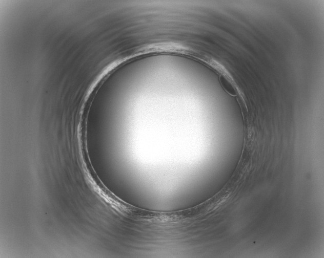 X0000078890947200612042046