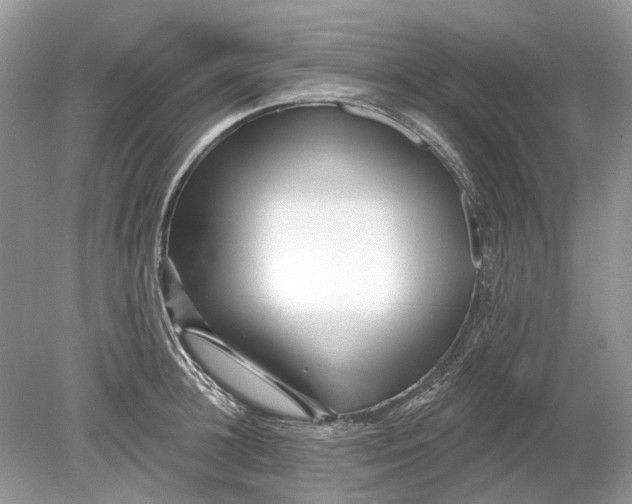 X0000078890948200612042046