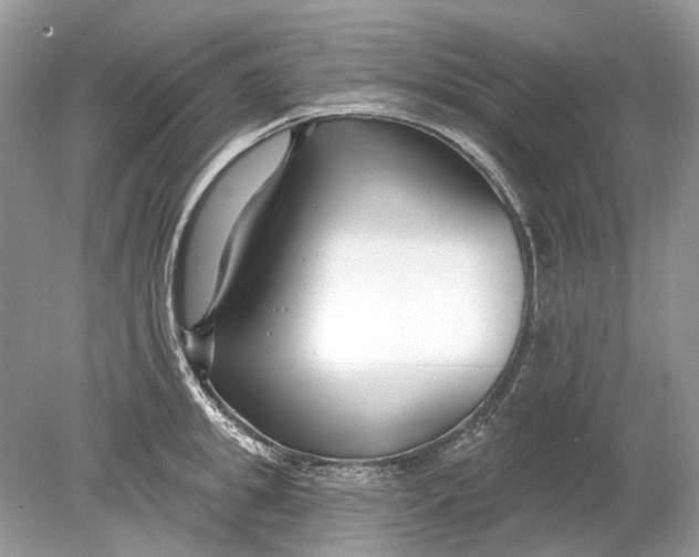 X0000078890949200612042046