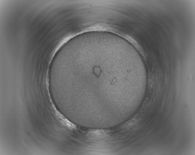 X0000078890950200612042047