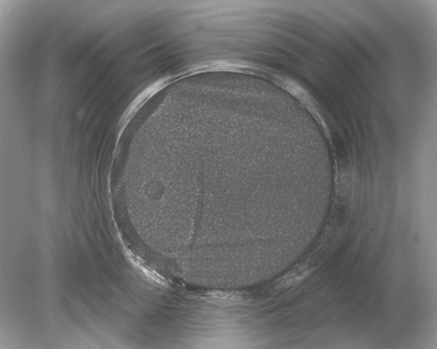 X0000078890954200612042047