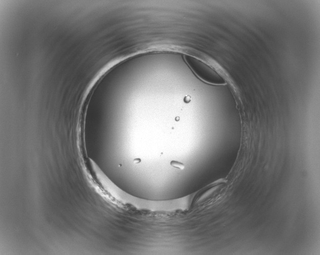 X0000078890955200612042047