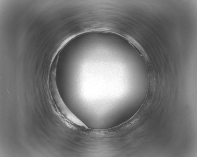 X0000078890956200612042047