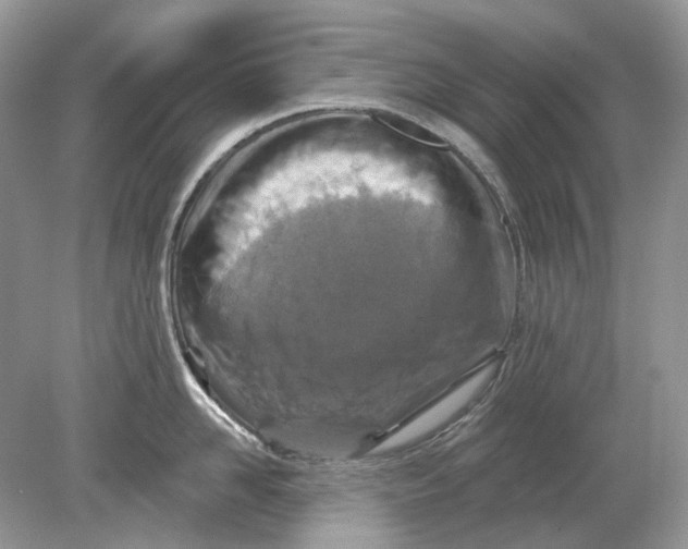 X0000078890958200612042047