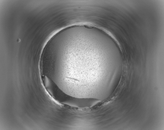 X0000078890959200612042047