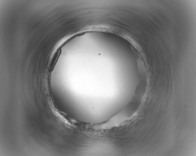 X0000078890960200612042047