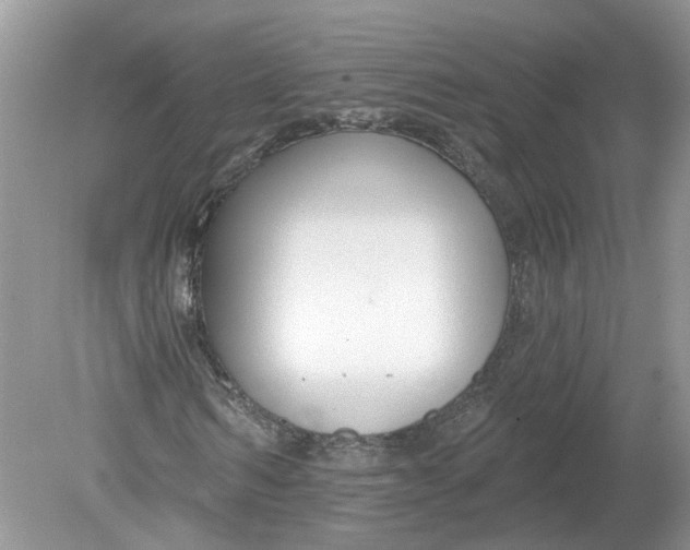 X0000078890962200612042046