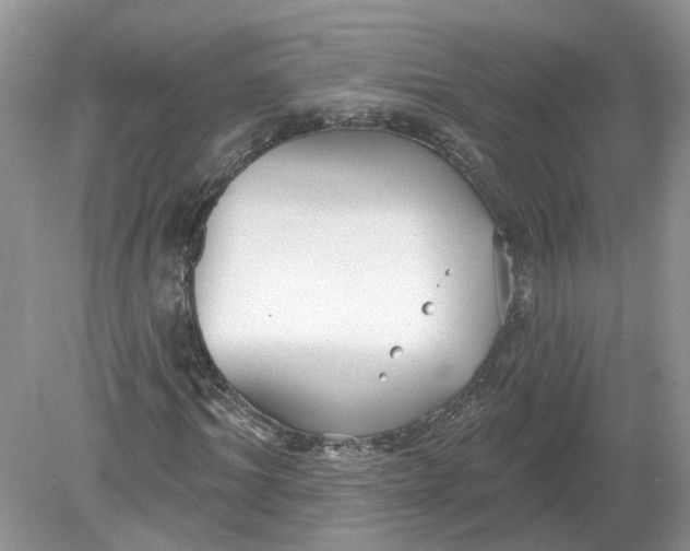 X0000078890964200612042046