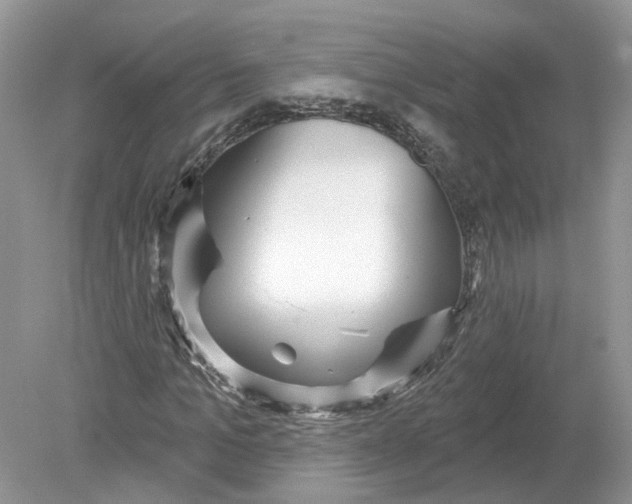 X0000078890965200612042046