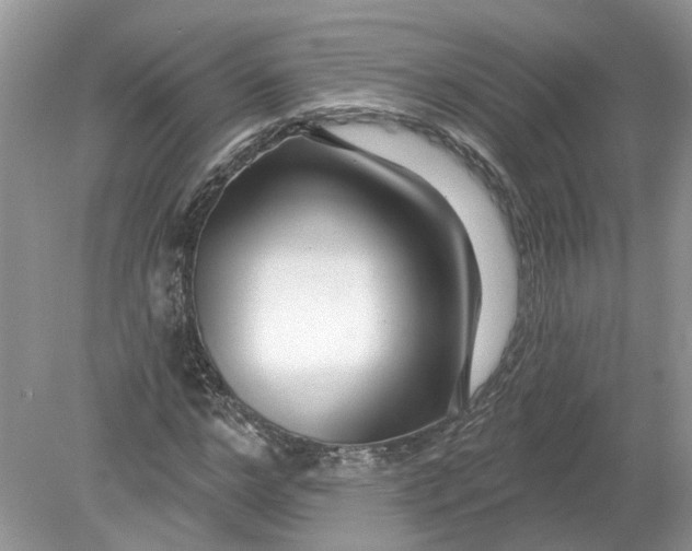 X0000078890968200612042046