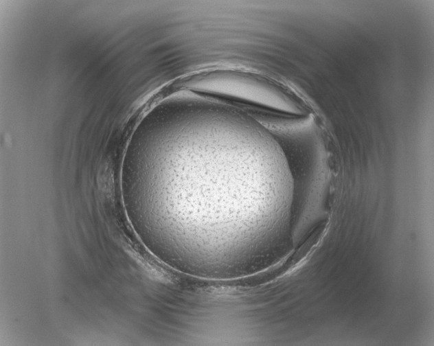 X0000078890969200612042046