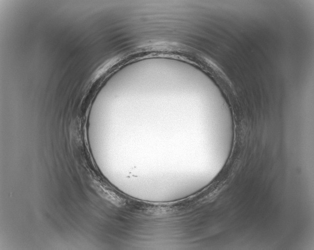 X0000078890970200612042046