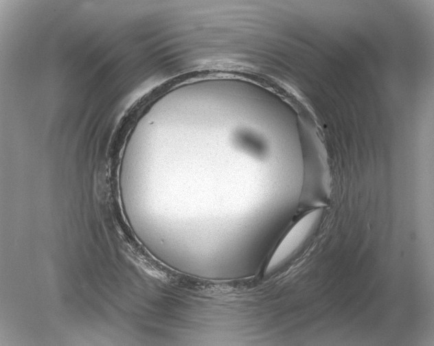 X0000078890971200612042046