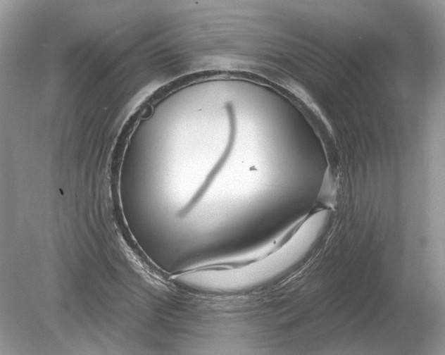 X0000078890972200612042046