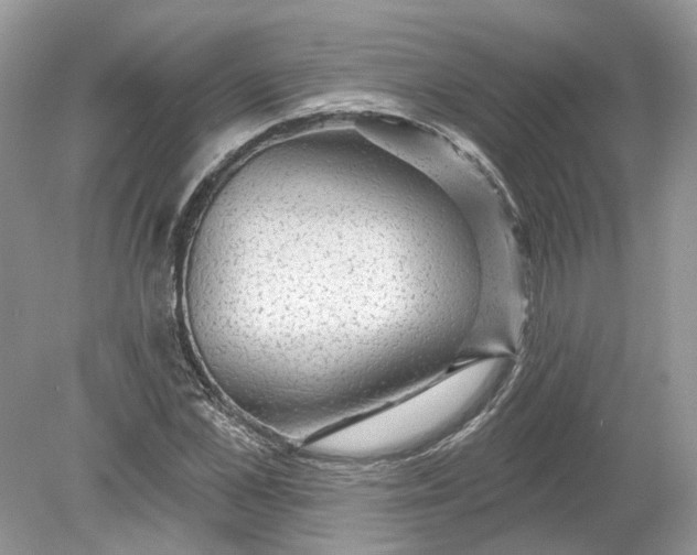 X0000078890973200612042046