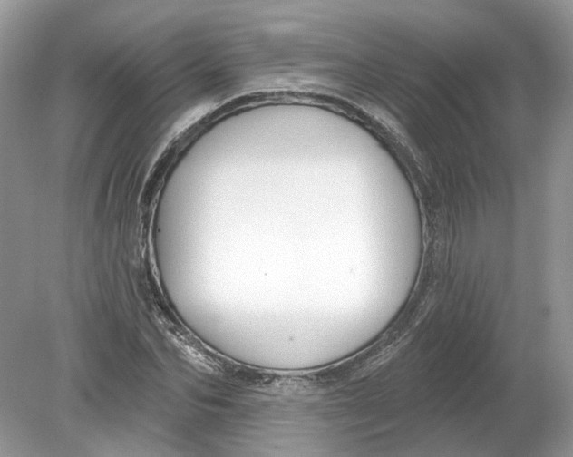 X0000078890974200612042046