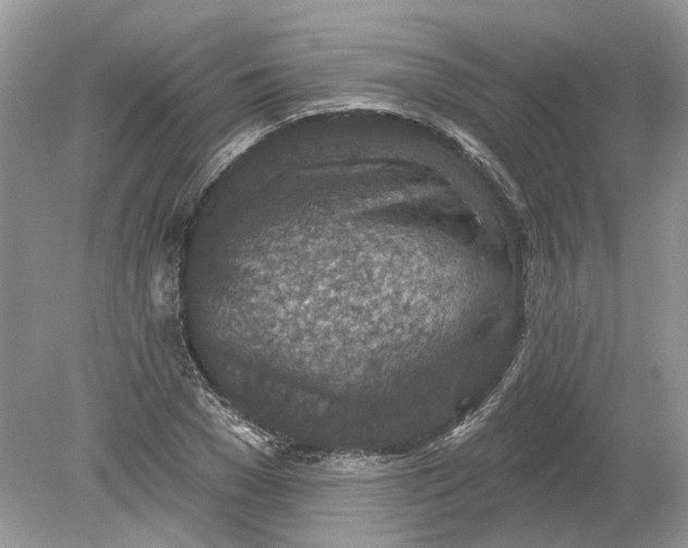 X0000078890977200612042046