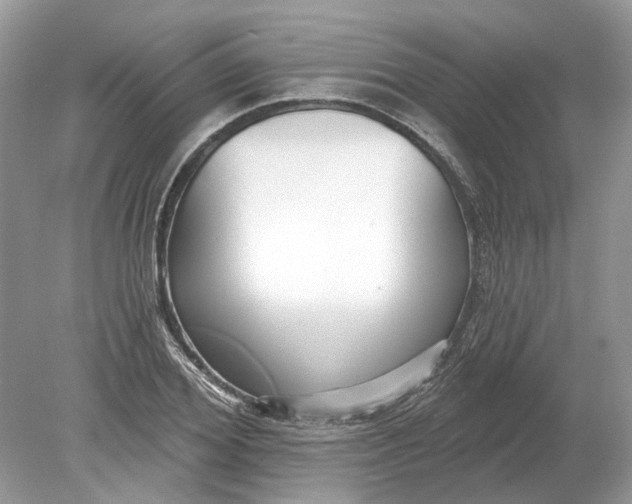 X0000078890980200612042046