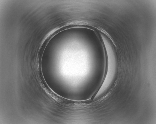 X0000078890981200612042046