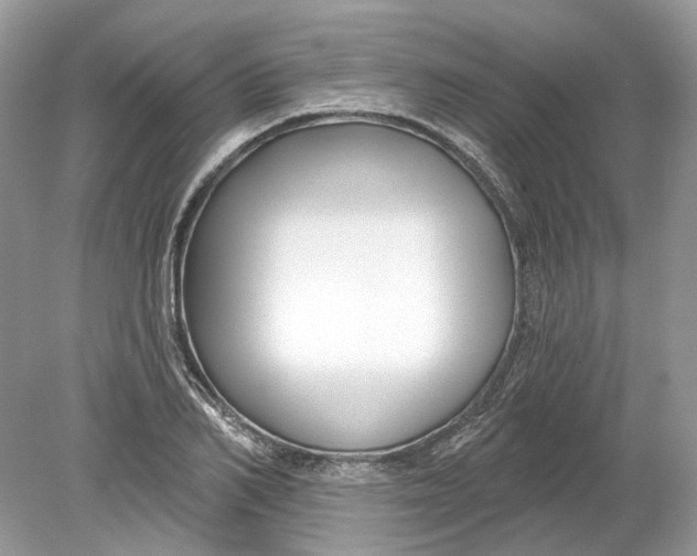 X0000078890982200612042046