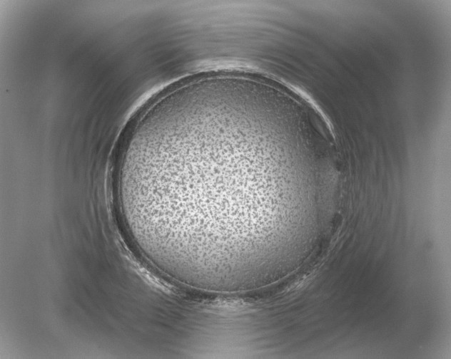 X0000078890983200612042045