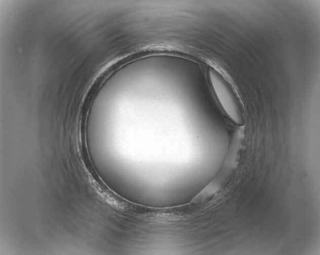 X0000078890984200612042045