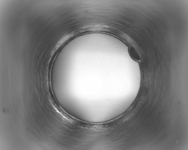 X0000078890986200612042045